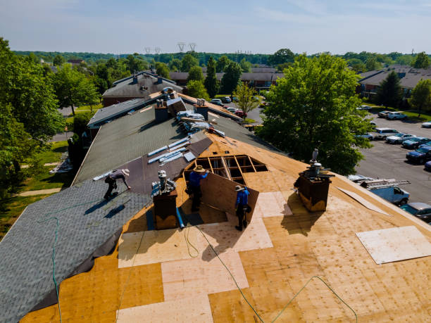 24/7 Emergency Metal Roofing experts in Luna Pier, MI